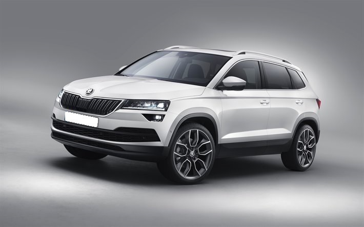 skoda kodiaq 2017 ремонт электронного блока управления dq500